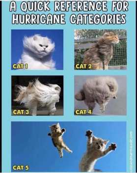 Funny meme about cats and hurricanes